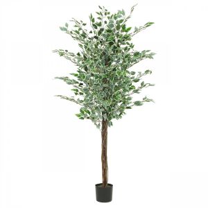 Ligne Deco Ficus artificiel panaché 180cm