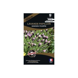 Sanrival Premium - Graines de fleurs premium lavande papillon stoecka