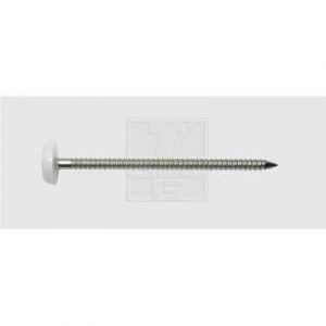 SWG Clou avec tête plastique (Ø x L) 2.5 mm x 50 mm acier inoxydable A4 200 pc(s)