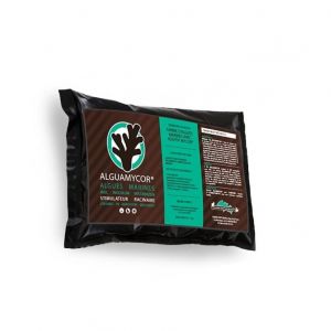 Culture Indoor Guano Diffusion - Alguamycor - stimulateur racinaire - 500 g