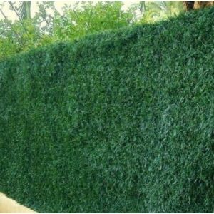 Atout Loisir Haie v&eacute;g&eacute;tale artificielle 243 brins, Longueur 30 m, Hauteur 1.50 m H 1.50 m