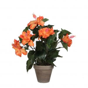 Image de Mica Decorations Hibiscus orange artificiel ø30 x h.40 cm en pot Stan gris ø11,5 cm