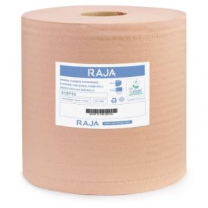 MONDOFFICE Essuie-tout papier recyclé double épaisseur - Bobine chamois 1000 feuilles 26 x 30 cm - 510715 - Lot de 2 rouleaux de 300 m