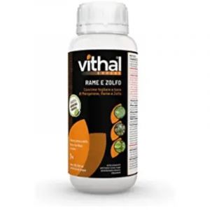 Vithal Expert engrais foliaire &agrave; base de cuivre et de soufre pour l'agriculture biologique 1 kg