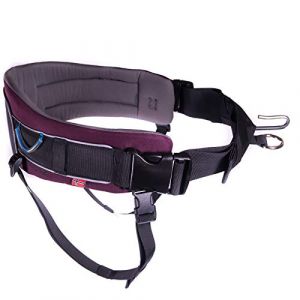 DOG Copenhagen Non-Stop Ceinture Trekking pour Randonnée/Canicross 1 Unité, violet