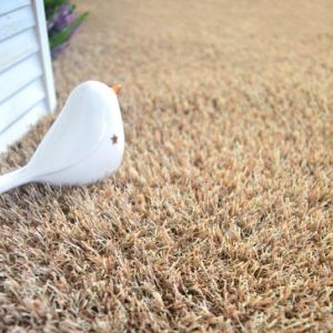 Image de D&eacute;coweb Gazon synth&eacute;tique Arty - Couleur Beige - 20mm - Rouleau de 2m x 16m