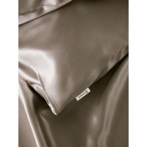 Taie d?Oreiller Simple Enveloppée En Soie Gris argenté
