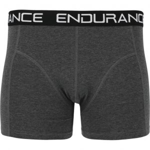 Boxer Endurance Norwich