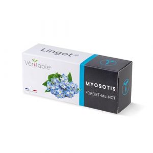 Veritable Lingot Myosotis - Recharge prête à l'emploi