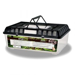 Reptiles Planet Repti Box XL - Boite de Transport en Plastique avec Couvercle Amovible - 42 x 26 x 16 cm