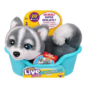 Moose Toys Little Live Pets My Really Real Puppy Minis – Aurora la Husky, Chiot interactif avec + de 20 Sons et réactions, Inclut Un Panier pour Exposer Ton Chiot, Cadeau Amusant et Mignon pour Enfants, 11 cm