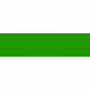 Copic Marqueur à alcool double pointe Marker Herbe verte YG17