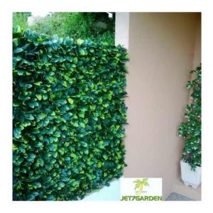 Jet7Garden Treillis 'Feuilles Troène Doré' H 1m, Longueur 18 m