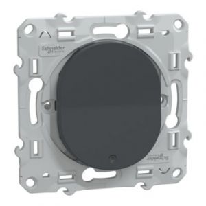 Schneider Electric Interrupteur va-et-vient lumineux 10AX anthracite - Ovalis