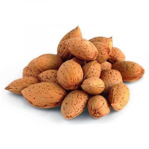 AMANDIER Nains de jardins Mini mandier C 5 L - 60/90 cm