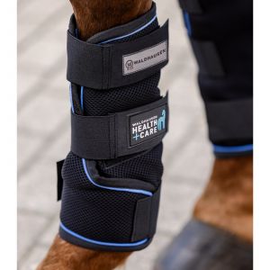 Waldhausen Guêtres pour cheval Health + Care Ice Layer (x2)