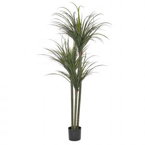 Image de Beliani Plante artificielle DRACAENA ANITA Vert