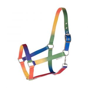 Waldhausen Licol pour cheval VB et WB Arc-en-ciel