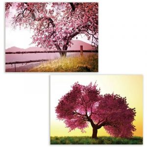 Wadiga Set de 2 tableaux d&eacute;coratifs photo Arbres en Fleurs - 60x80cm