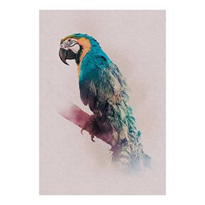 Komar Affiche d'art Animals Paradise Parrot - Taille: 50 x 70 cm - color&eacute;