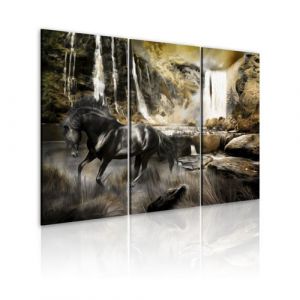 Image de Artgeist Tableau - Cheval noir et cascade rocheuse 120x80