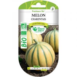 Les doigts verts Graines melon charentais BIO