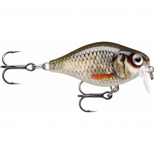 Rapala Leurre de Pêche X-Light Crank Shallow Runner Construction Plastique - Leurre Eau Douce Flottant - Profondeur de Nage 0,9m - Taille 3,5cm / 4g - Fabriqué en Estonie - Live Roach