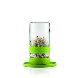 Image de Bodum 11486 - Germoir en verre Grow Green