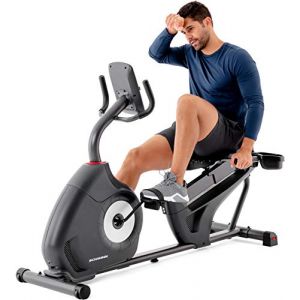 Schwinn Liegeergometer 510R