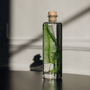 Th&eacute;ophile Berthon Plante immerg&eacute;e Foug&egrave;re montagnes H23