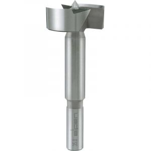 Alpen Foret Forstner 0023901500100 15 mm Longueur 90 mm tige cylindrique 1 pc(s)