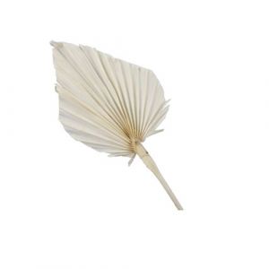 7 feuilles artificielles palmier beige - othmar trading 430080