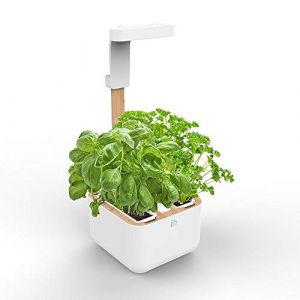Veritable BOTANEO Eylo - Jardin d'intérieur - Kit avec 2 Lingot Éclairage LED Automatique