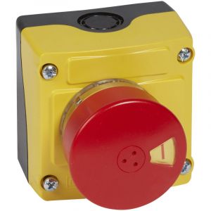 Legrand BOITIER COUP DE POING VISU D54 RG 1NF