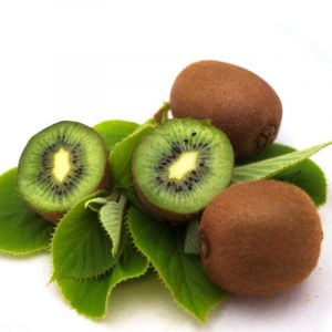 Kiwi chinensis solo (autofertile) - pot de 2l