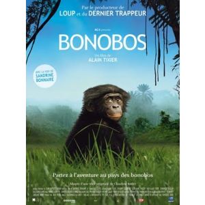 Image de Bonobos