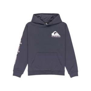 Quiksilver Omni Logo Kids Sweat &agrave; capuche gris