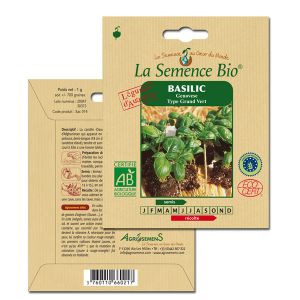 Image de La Semence Bio Graines de Basilic