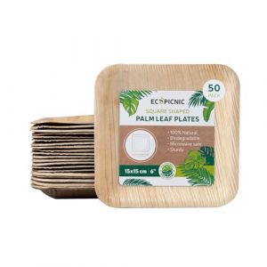 50 assiettes carrées 15x15 cm en feuille de palmier – jetables biodégradables et compostables – usage festif ou pro
