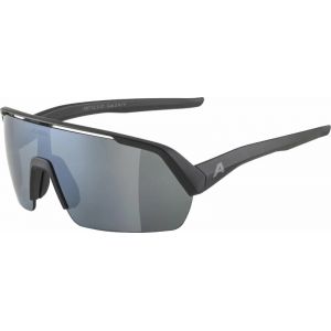 Alpina Turbo HR Glasses, noir Lunettes