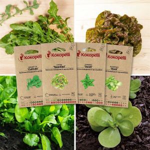 Sachet de graines bio à semer -Jeunes pousses - 4 sachets de graines bio à semer