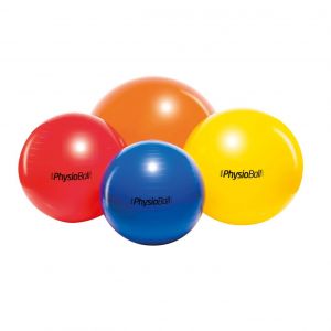 Ballon d'entraînement Ledragomma Original Physioball