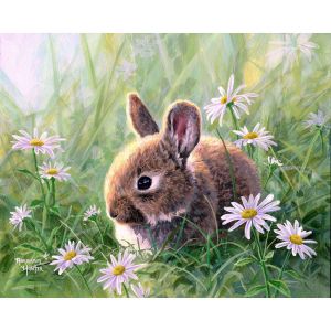 Peinture au num&eacute;ro : Lapin et marguerites - toile tendue sur ch&acirc;ssis