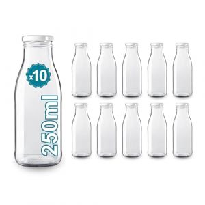 10 Bouteilles en Verre Vides de 250 ml- Bouteilles en verre pour jus, lait, barbecue, sauces - Idéales pour pique-niques