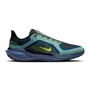 Nike Chaussures de running Pegasus 41 Gore-Tex