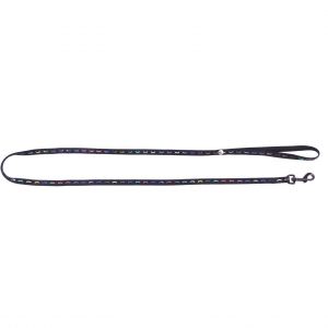 Martin Sellier Laisse pour chien nylon Dodo