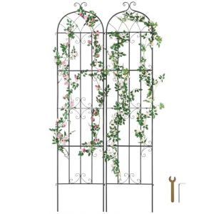 VEVOR Treillis Jardin pour Plantes grimpantes, 51 x 220 cm, Treillis Fleurs de Jardin en métal antirouille, Treillis de rosiers grimpants extérieur, Support de concombres, pour Cours, pelouses, 2 pcs