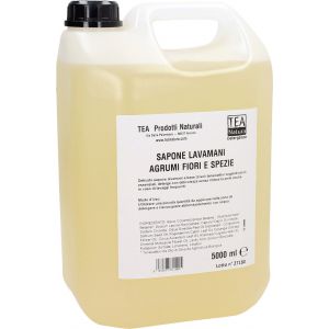 Image de TEA Natura Lavamani Liquido - 5 L