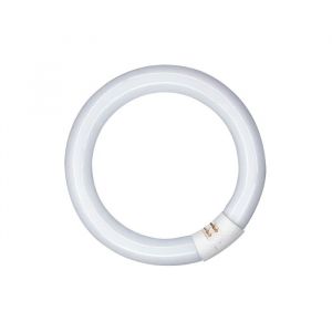 Tube Fluorescent Circulaire 32w, G10q, 6500 K Lumi&egrave;re Froide &oslash;300 Mm