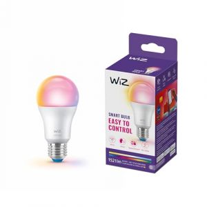 WIZ Philips Hue Smart Ampoule Wi-Fi & Bluetooth A60 E27 – 100 W équivalent, blanc lumineux & couleurs